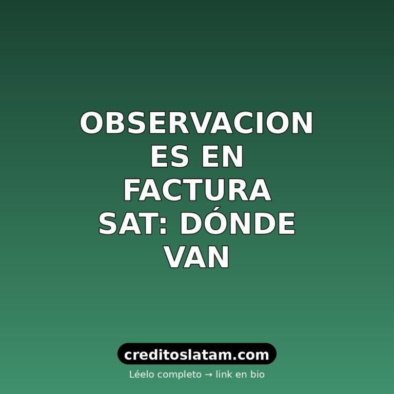 Cómo agregar observaciones en factura SAT (CFDI 4.0) en México