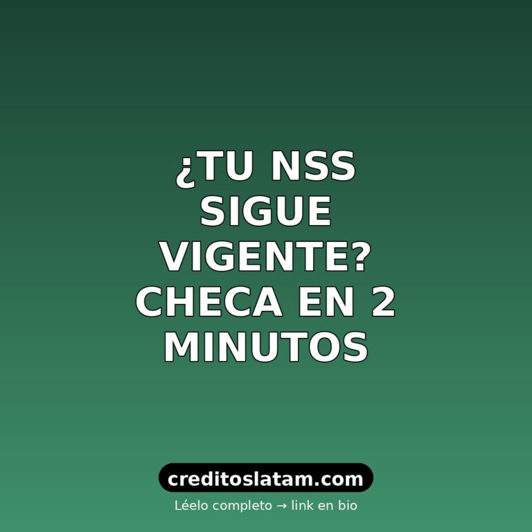 Cómo saber si mi número de seguridad social está activo en México